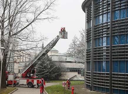 241208AB_247.JPG